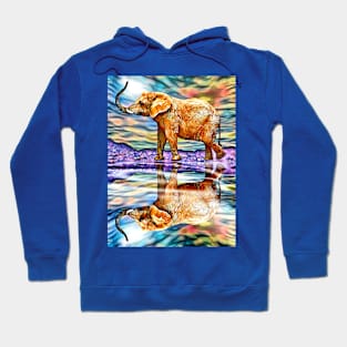 Elephant Reflections Hoodie